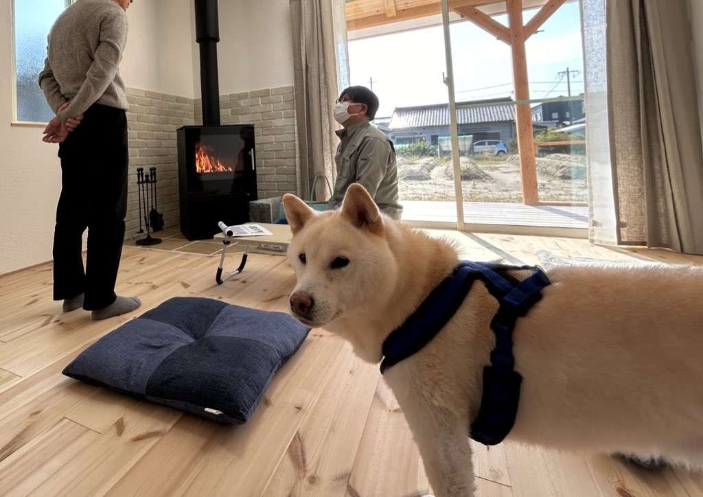 大きなデッキの平屋パラディ/注文住宅